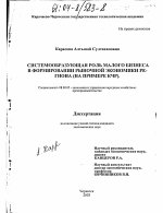 Системообразующая роль малого бизнеса в формировании рыночной экономики региона - тема диссертации по экономике, скачайте бесплатно в экономической библиотеке