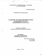 Развитие организационных форм поддержки малого предпринимательства - тема диссертации по экономике, скачайте бесплатно в экономической библиотеке