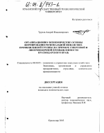 Организационно-экономические основы формирования региональной финансово-промышленной группы - тема диссертации по экономике, скачайте бесплатно в экономической библиотеке