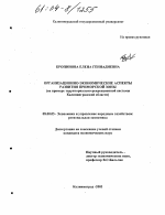 Организационно-экономические аспекты развития Приморской зоны - тема диссертации по экономике, скачайте бесплатно в экономической библиотеке