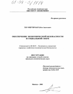 Обеспечение экономической безопасности в социальной сфере - тема диссертации по экономике, скачайте бесплатно в экономической библиотеке